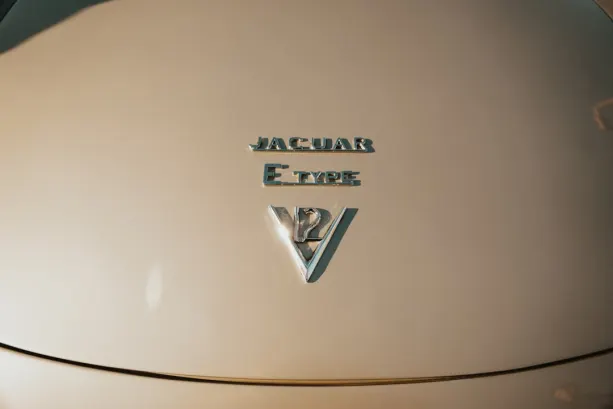 Untold Casino Android/iOS App